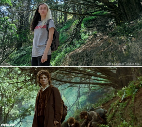 Discovering Hobbit's Hideaway on Mount Victoria, NZ | image tagged in lord of the rings | made w/ Imgflip meme maker