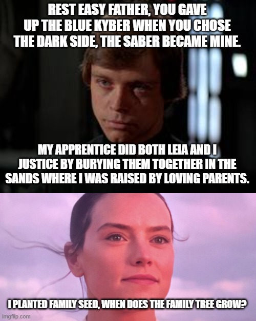REST EASY FATHER, YOU GAVE UP THE BLUE KYBER WHEN YOU CHOSE THE DARK SIDE, THE SABER BECAME MINE. MY APPRENTICE DID BOTH LEIA AND I JUSTICE  | image tagged in luke skywalker,rey skywalker | made w/ Imgflip meme maker