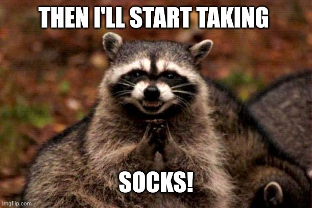 Evil Plotting Raccoon Meme | THEN I'LL START TAKING SOCKS! | image tagged in memes,evil plotting raccoon | made w/ Imgflip meme maker