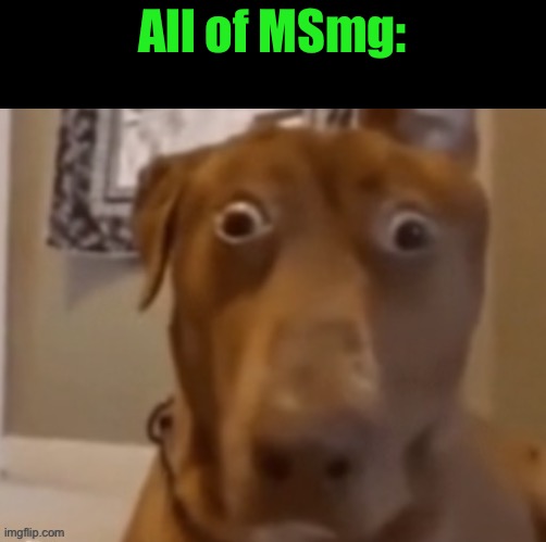 Scare Doggo | All of MSmg: | image tagged in scare doggo | made w/ Imgflip meme maker