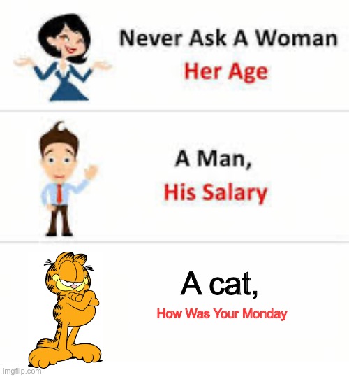 Never ask a woman her age | A cat, How Was Your Monday | image tagged in never ask a woman her age | made w/ Imgflip meme maker