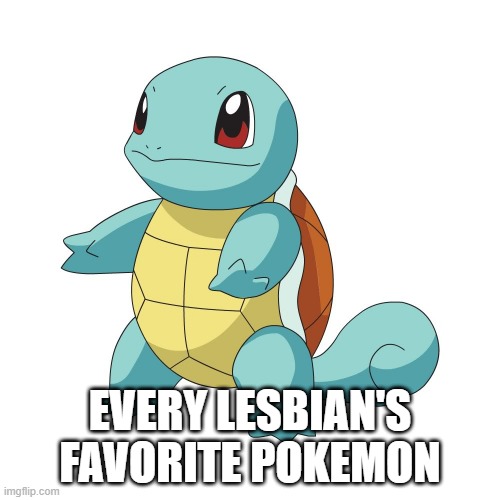 Catch Em All | EVERY LESBIAN'S FAVORITE POKEMON | image tagged in squirtle,sex jokes | made w/ Imgflip meme maker