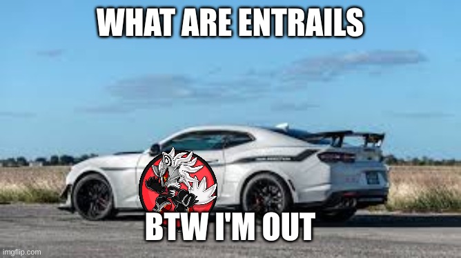 WHAT ARE ENTRAILS BTW I'M OUT | made w/ Imgflip meme maker