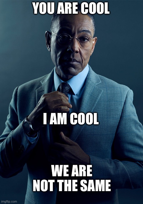 Cool vs cool, get it? | YOU ARE COOL; I AM COOL; WE ARE NOT THE SAME | image tagged in gus fring we are not the same,memes | made w/ Imgflip meme maker