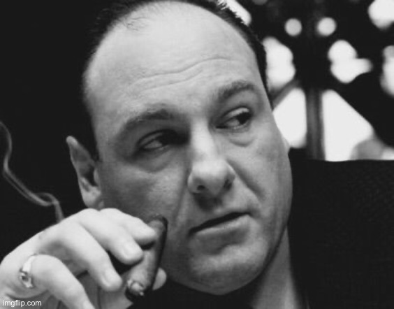 Tony Soprano Admin Gangster | image tagged in tony soprano admin gangster | made w/ Imgflip meme maker