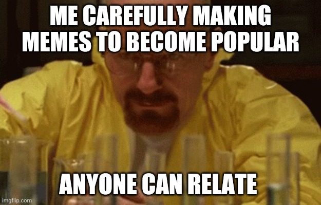 fr | ME CAREFULLY MAKING MEMES TO BECOME POPULAR; ANYONE CAN RELATE | image tagged in walter white cooking | made w/ Imgflip meme maker