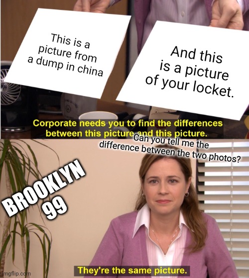 They're The Same Picture | This is a picture from a dump in china; And this is a picture of your locket. Can you tell me the difference between the two photos? BROOKLYN 99 | image tagged in memes,they're the same picture | made w/ Imgflip meme maker