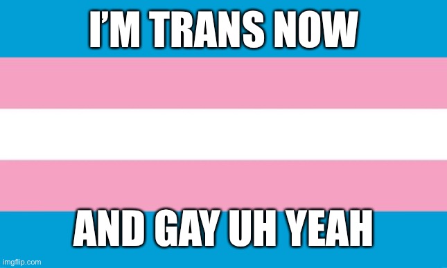 Transgender Flag | I’M TRANS NOW; AND GAY UH YEAH | image tagged in transgender flag,coming out,lgbtq,transgender | made w/ Imgflip meme maker