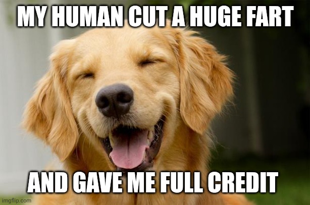 Happy Dog | MY HUMAN CUT A HUGE FART AND GAVE ME FULL CREDIT | image tagged in happy dog | made w/ Imgflip meme maker