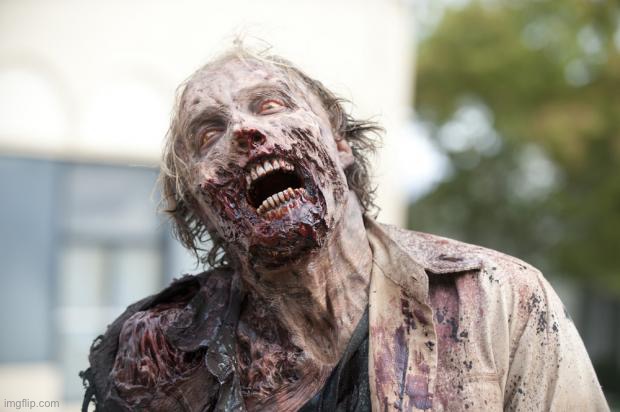 Walking Dead Zombie | image tagged in walking dead zombie | made w/ Imgflip meme maker