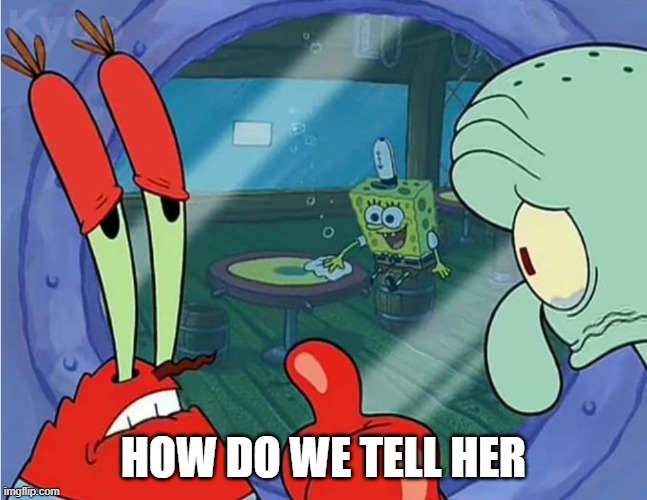 HOW DO WE TELL HER | image tagged in how do we tell him | made w/ Imgflip meme maker
