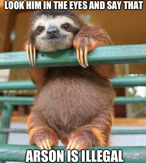 cute sloth | LOOK HIM IN THE EYES AND SAY THAT; ARSON IS ILLEGAL | image tagged in cute sloth | made w/ Imgflip meme maker