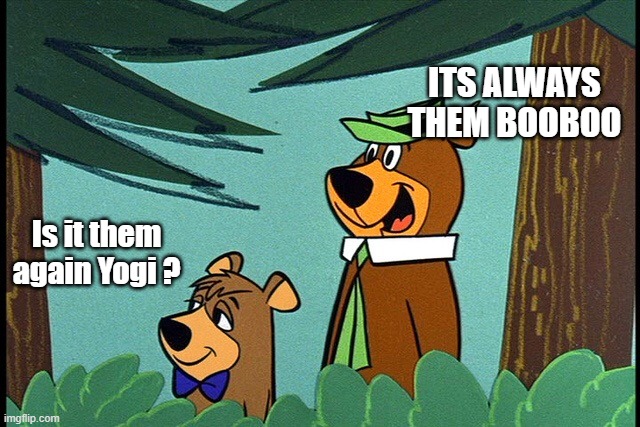 Yogi and booboo | ITS ALWAYS THEM BOOBOO; Is it them again Yogi ? | image tagged in yogi and booboo | made w/ Imgflip meme maker