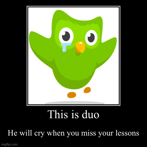 Meet duo | This is duo | He will cry when you miss your lessons | image tagged in funny,duolingo | made w/ Imgflip demotivational maker