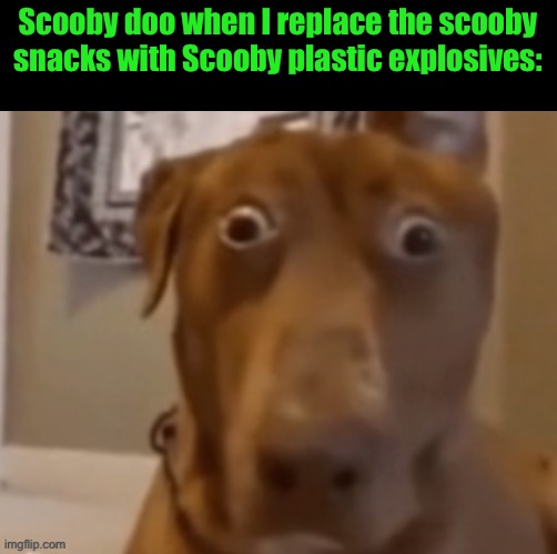 Scare Doggo | Scooby doo when I replace the scooby snacks with Scooby plastic explosives: | image tagged in scare doggo | made w/ Imgflip meme maker