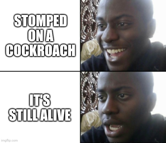 Happy / Shock | STOMPED ON A COCKROACH IT'S STILL ALIVE | image tagged in happy / shock | made w/ Imgflip meme maker