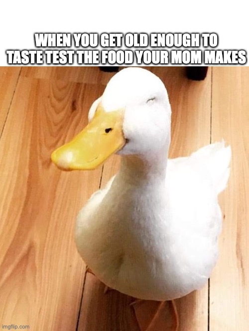 Always tastes good | WHEN YOU GET OLD ENOUGH TO TASTE TEST THE FOOD YOUR MOM MAKES | image tagged in smile duck,funny,memes,cute,food,mom | made w/ Imgflip meme maker