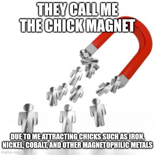 The chick magnet | THEY CALL ME THE CHICK MAGNET; DUE TO ME ATTRACTING CHICKS SUCH AS IRON, NICKEL, COBALT, AND OTHER MAGNETOPHILIC METALS | image tagged in magnetic attraction,chick magnet,magnet,magnets,science,memes | made w/ Imgflip meme maker