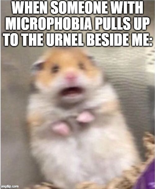 Microphobia is the fear of small things | WHEN SOMEONE WITH MICROPHOBIA PULLS UP TO THE URNEL BESIDE ME: | image tagged in scared hamster,funny,sus,sussy,hilarious,hilarious memes | made w/ Imgflip meme maker