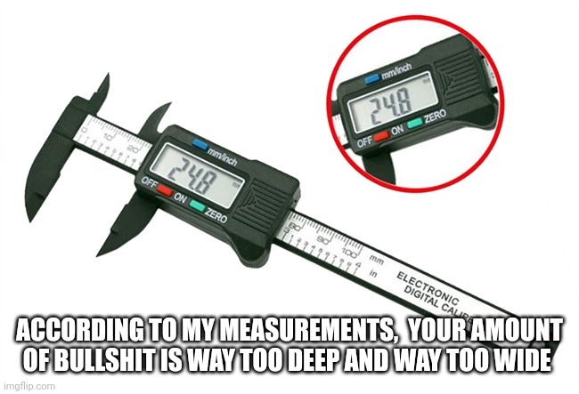 Bullshit | ACCORDING TO MY MEASUREMENTS,  YOUR AMOUNT OF BULLSHIT IS WAY TOO DEEP AND WAY TOO WIDE | image tagged in bullshit | made w/ Imgflip meme maker