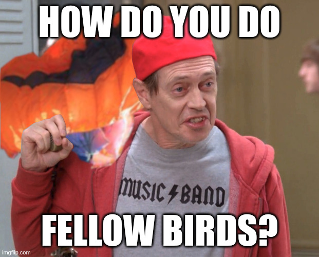 How do you do, fellow birds? | HOW DO YOU DO; FELLOW BIRDS? | image tagged in how do you do fellow birds | made w/ Imgflip meme maker