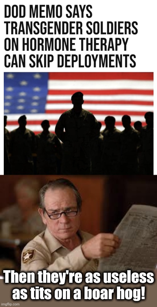 Joe Biden's woke military | Then they're as useless as tits on a boar hog! | image tagged in no country for old men tommy lee jones,military,woke,democrats,transgender,deployments | made w/ Imgflip meme maker