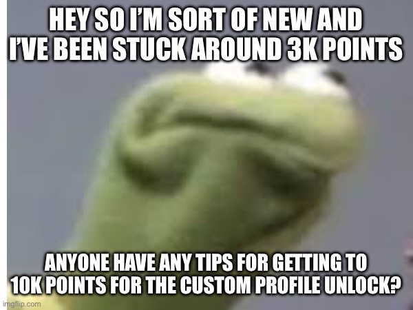 How do y’all get so many points | HEY SO I’M SORT OF NEW AND I’VE BEEN STUCK AROUND 3K POINTS; ANYONE HAVE ANY TIPS FOR GETTING TO 10K POINTS FOR THE CUSTOM PROFILE UNLOCK? | image tagged in kermit the frog,derp | made w/ Imgflip meme maker