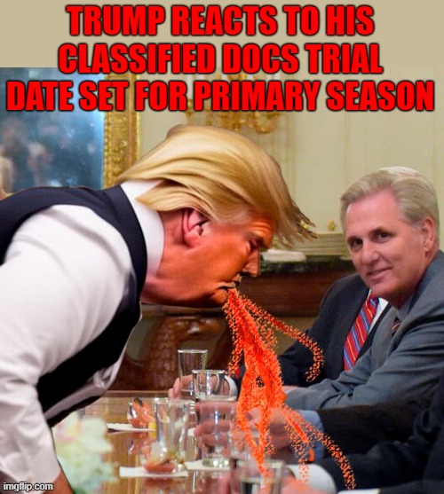Judge Aileen Cannon Kills Trump's Hopes of a Post-Election Trial | TRUMP REACTS TO HIS CLASSIFIED DOCS TRIAL DATE SET FOR PRIMARY SEASON | image tagged in donald trump,classified docs,trial,aileen cannon,orange vomit | made w/ Imgflip meme maker