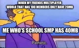 I owned the school smp. It lasted the whole year. Fun times | WHEN MY FRIENDS MULTIPLAYER WORLD THAT HAS 100 MEMBERS ONLY HAVE 20MB; ME WHO’S SCHOOL SMP HAS 40MB | image tagged in skinner pathetic | made w/ Imgflip meme maker