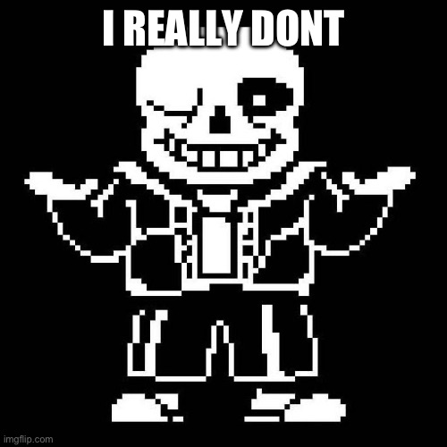 sans undertale | I REALLY DONT | image tagged in sans undertale | made w/ Imgflip meme maker