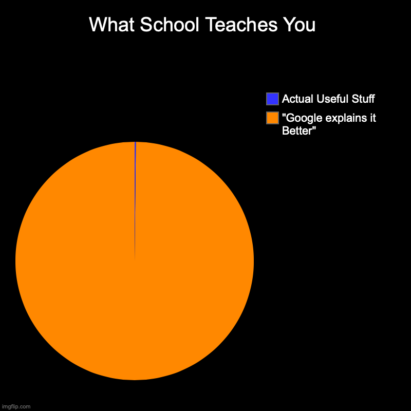 What School teaches you | What School Teaches You | "Google explains it Better", Actual Useful Stuff | image tagged in charts,pie charts,school,school meme | made w/ Imgflip chart maker
