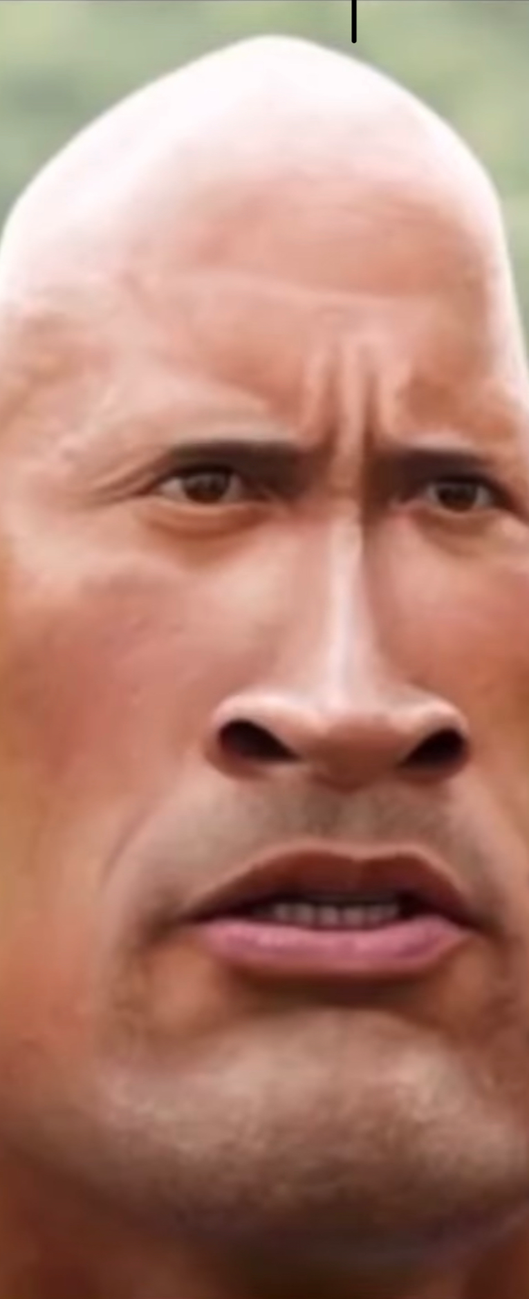 High Quality The rock Blank Meme Template