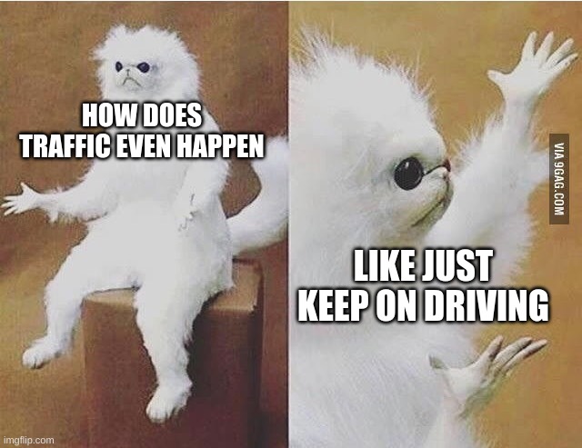 just drive | HOW DOES TRAFFIC EVEN HAPPEN; LIKE JUST KEEP ON DRIVING | image tagged in confused white monkey,driving,cars are here | made w/ Imgflip meme maker