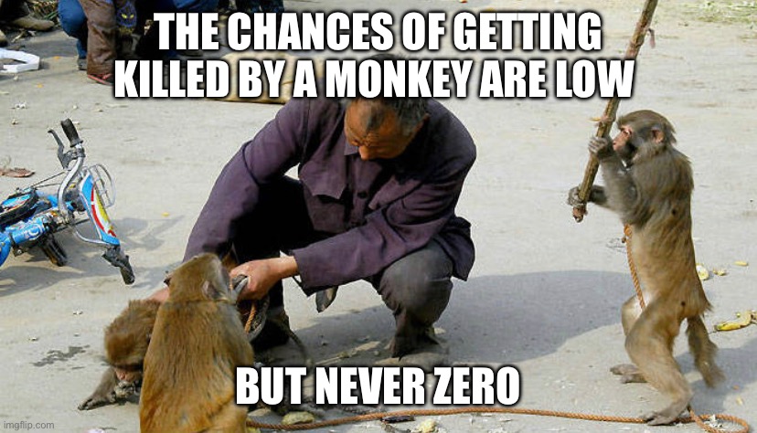 Emphasis on the never zero part | THE CHANCES OF GETTING KILLED BY A MONKEY ARE LOW; BUT NEVER ZERO | image tagged in funny | made w/ Imgflip meme maker