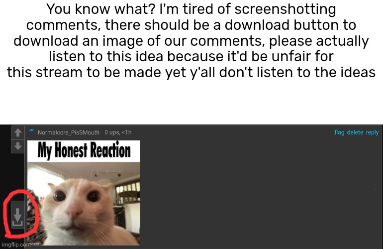 You know what? I'm tired of screenshotting comments, there should be a download button to download an image of our comments, please actually listen to this idea because it'd be unfair for this stream to be made yet y'all don't listen to the ideas | made w/ Imgflip meme maker