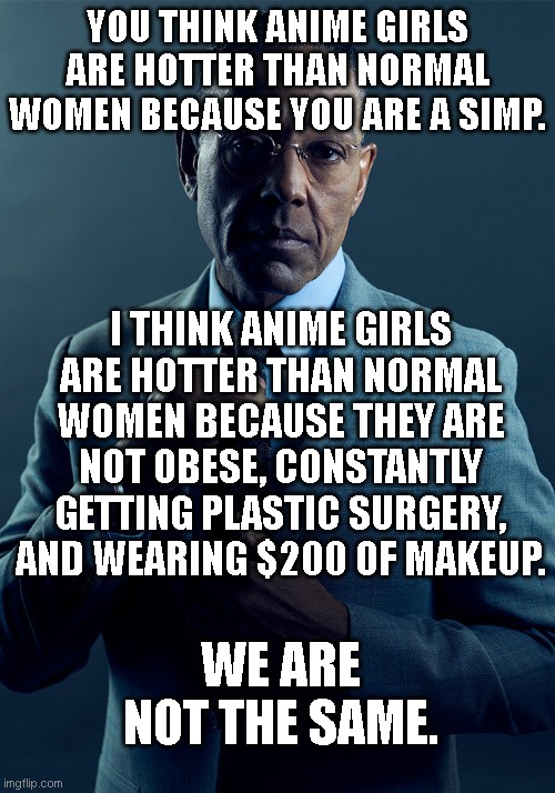 Anime Simps | YOU THINK ANIME GIRLS ARE HOTTER THAN NORMAL WOMEN BECAUSE YOU ARE A SIMP. I THINK ANIME GIRLS ARE HOTTER THAN NORMAL WOMEN BECAUSE THEY ARE NOT OBESE, CONSTANTLY GETTING PLASTIC SURGERY, AND WEARING $200 OF MAKEUP. WE ARE NOT THE SAME. | image tagged in gus fring we are not the same | made w/ Imgflip meme maker