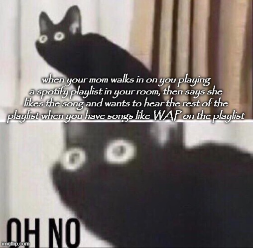 Oh no cat | when your mom walks in on you playing a spotify playlist in your room, then says she likes the song and wants to hear the rest of the playlist when you have songs like WAP on the playlist | image tagged in oh no cat | made w/ Imgflip meme maker