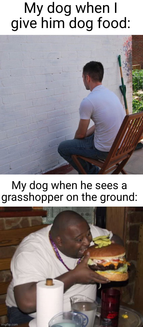Meme #2,697 | My dog when I give him dog food:; My dog when he sees a grasshopper on the ground: | image tagged in bored,fat guy eating burger,dogs,food,true,grasshopper | made w/ Imgflip meme maker