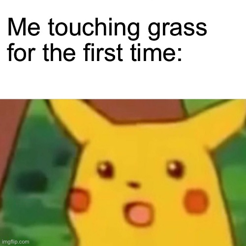 Surprised Pikachu | Me touching grass for the first time: | image tagged in memes,surprised pikachu | made w/ Imgflip meme maker