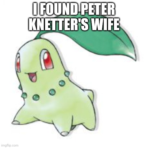How many upvotes can she get? | I FOUND PETER KNETTER'S WIFE | image tagged in chikorita,peter knetter | made w/ Imgflip meme maker