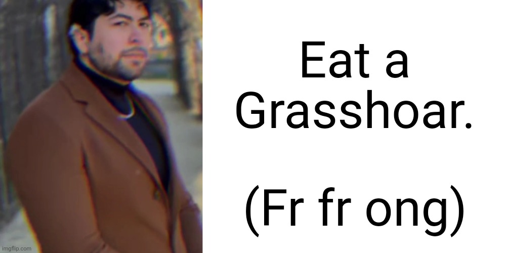 Grasshoar comes from an AI Dungeon stream by Jerma. It seems to be a poisonous food item that gives great pleasure from eating,  | Eat a Grasshoar. (Fr fr ong) | image tagged in master oogwgay template,jerma | made w/ Imgflip meme maker