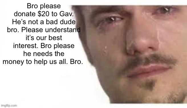 Bro Please Bro | Bro please donate $20 to Gav. He’s not a bad dude bro. Please understand it’s our best interest. Bro please he needs the money to help us all. Bro. | image tagged in bro please bro | made w/ Imgflip meme maker