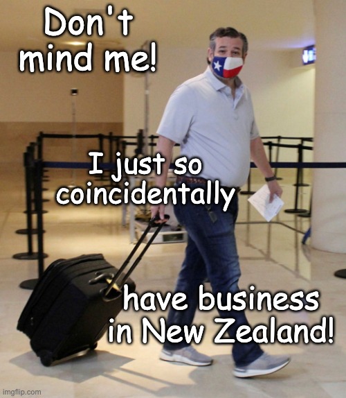 Ted Cruz Airport | Don't mind me! I just so coincidentally have business in New Zealand! | image tagged in ted cruz airport | made w/ Imgflip meme maker