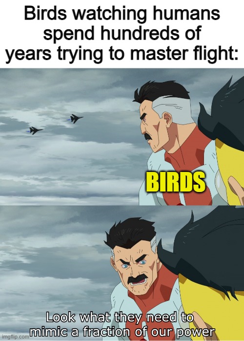... | Birds watching humans spend hundreds of years trying to master flight:; BIRDS | image tagged in look what they need to mimic a fraction of our power | made w/ Imgflip meme maker