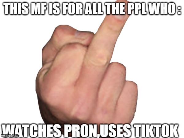 THIS MF IS FOR ALL THE PPL WHO :; WATCHES PRON,USES TIKTOK | image tagged in middle finger | made w/ Imgflip meme maker