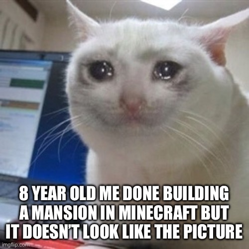 Crying cat | 8 YEAR OLD ME DONE BUILDING A MANSION IN MINECRAFT BUT IT DOESN’T LOOK LIKE THE PICTURE | image tagged in crying cat | made w/ Imgflip meme maker