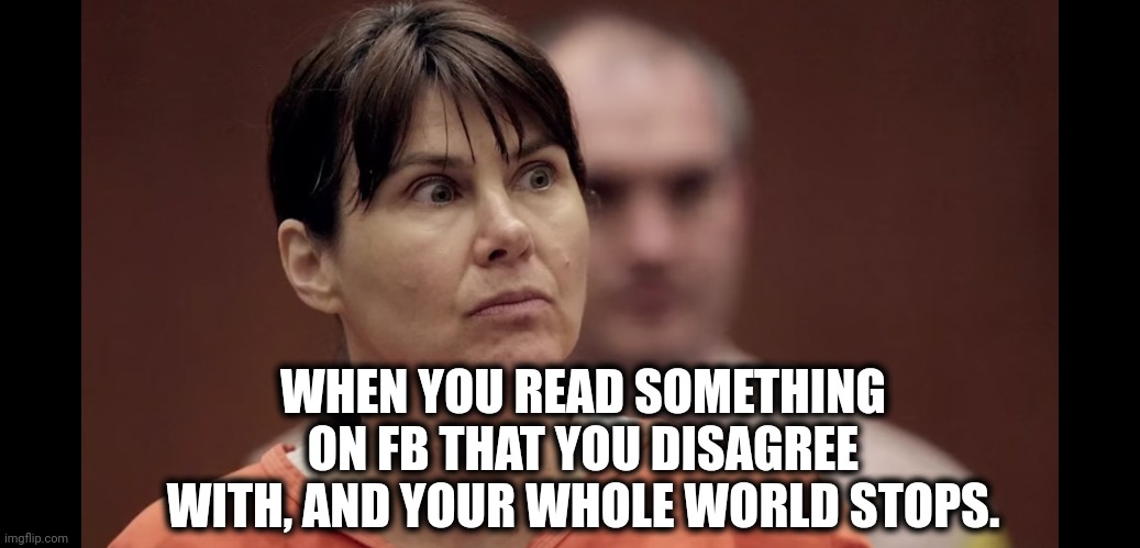 Triggered lady | WHEN YOU READ SOMETHING ON FB THAT YOU DISAGREE WITH, AND YOUR WHOLE WORLD STOPS. | image tagged in triggered | made w/ Imgflip meme maker
