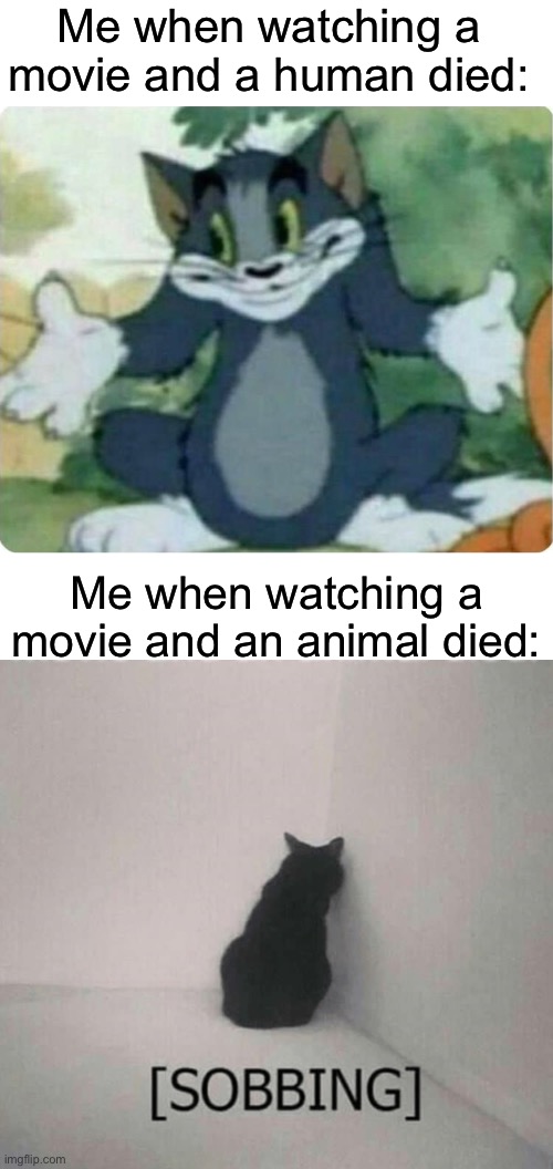 Bruh like don’t kill the dog- | Me when watching a movie and a human died:; Me when watching a movie and an animal died: | image tagged in blank white template,tom shrugging,sobbing cat,movies | made w/ Imgflip meme maker