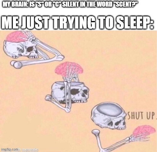 Skeleton Shut Up | ME JUST TRYING TO SLEEP:; MY BRAIN: IS "S" OR "C" SILENT IN THE WORD "SCENT?" | image tagged in skeleton shut up,sleep,shower thoughts | made w/ Imgflip meme maker