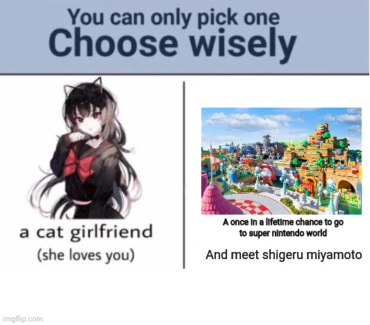We both know what I would choose | A once in a lifetime chance to go
to super nintendo world; And meet shigeru miyamoto | image tagged in choose wisely,nintendo,memes,it's a wonderful life,just do it,choose | made w/ Imgflip meme maker